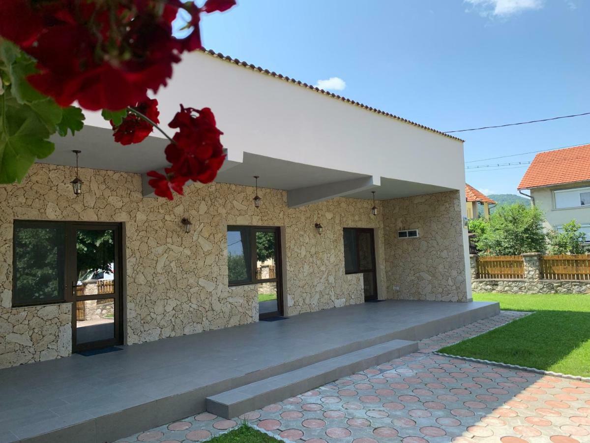 Appartement Casa Roka à Ieşelniţa Extérieur photo